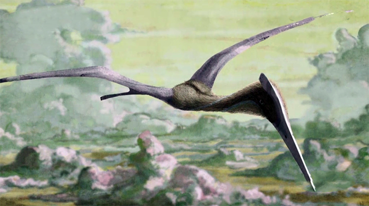 古生物学家研究罕见的翼龙化石使用3D打印技术还原翼龙