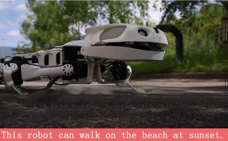 The new 3D printing robot can walk in sand and stone.